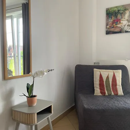 Balticvibes * Chłopy