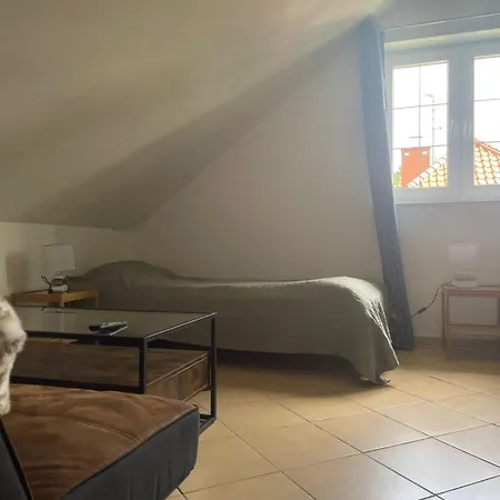 Проживание в семье Balticvibes